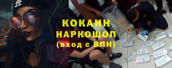 гидра Алексин