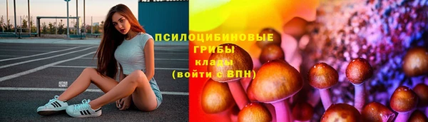 гидра Мегион