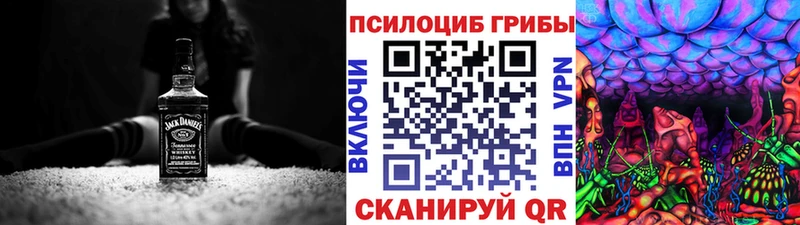 KRAKEN ТОР  Алдан  Псилоцибиновые грибы Psilocybine cubensis 